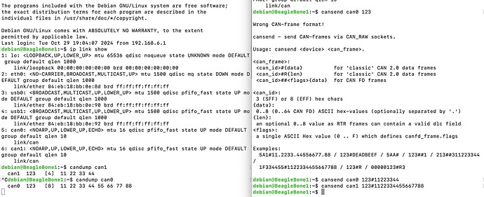 CAN_BBB_Linux_test_dual